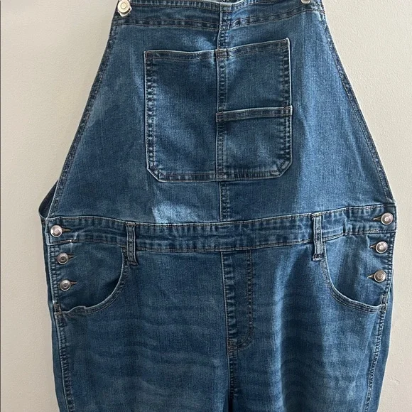 Celebrity Pink, Womans Size XL Distressed Blue Denim Overalls - Picture 4 of 14